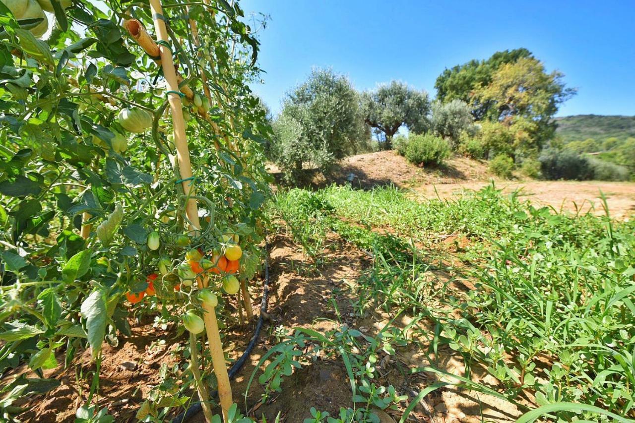 فيلا Il Molino بورتو إركولي المظهر الخارجي الصورة